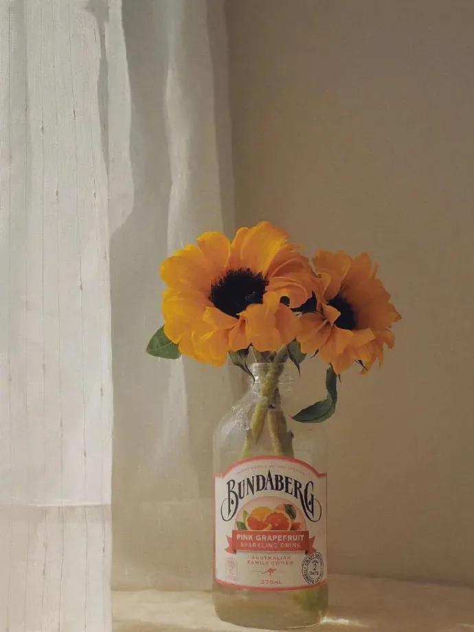 简单的个性签名英语,简单的个性签名成熟稳重