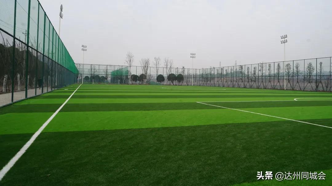 高家坝足球运动公园羽毛球,高家坝足球公园