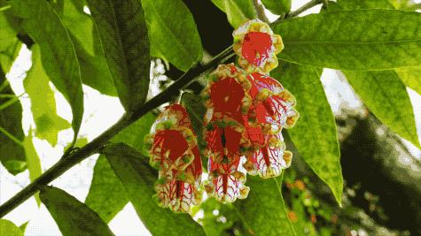 他的工作是厨师的英文,他的工作是什么英文句子