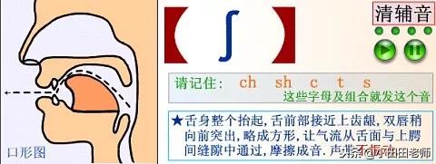 48个英语国际音标发音表高清图片,英语48个国际音标正确读法与讲解