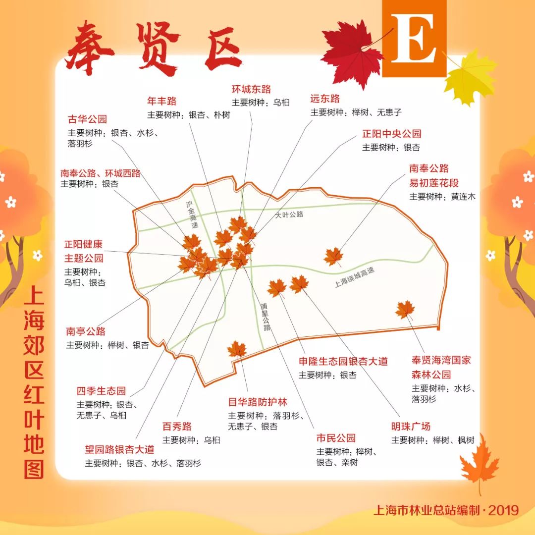 赏枫地图,赏红叶正当时
