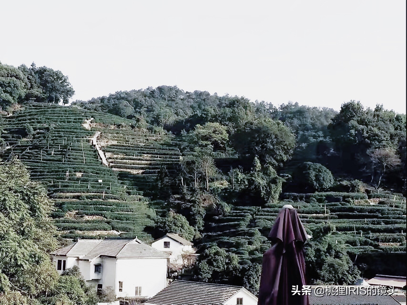 杭州小济州岛春游野营度假,良渚小奈良一日游