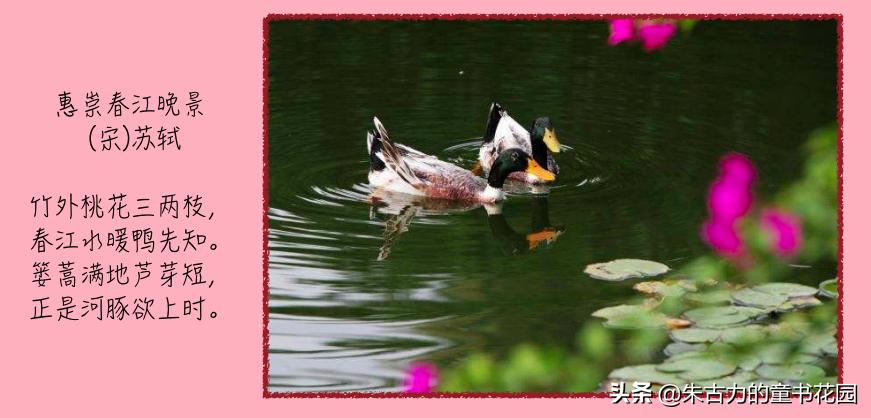 武亦姝诗词大会谈对诗词的感受,诗词大赛才女武亦姝