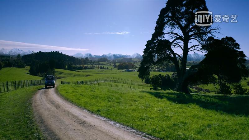 9部日本治愈系纯爱电影推荐,一部让你感动落泪的纯爱电影