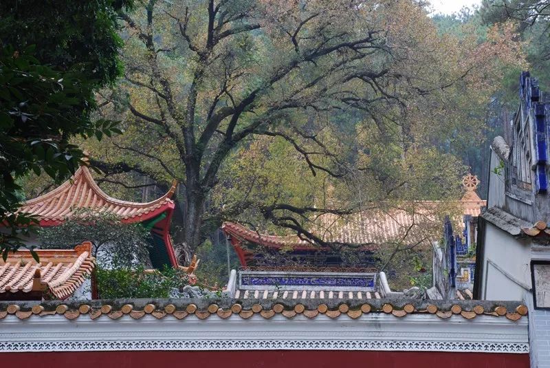 桂宿通银卡新增贵港淡云民宿祈福、养心，远离喧嚣｜广西旅游年卡