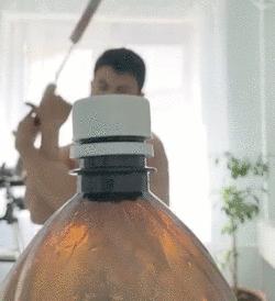 瓶盖挑战甄子丹,赵文卓甄子丹金星