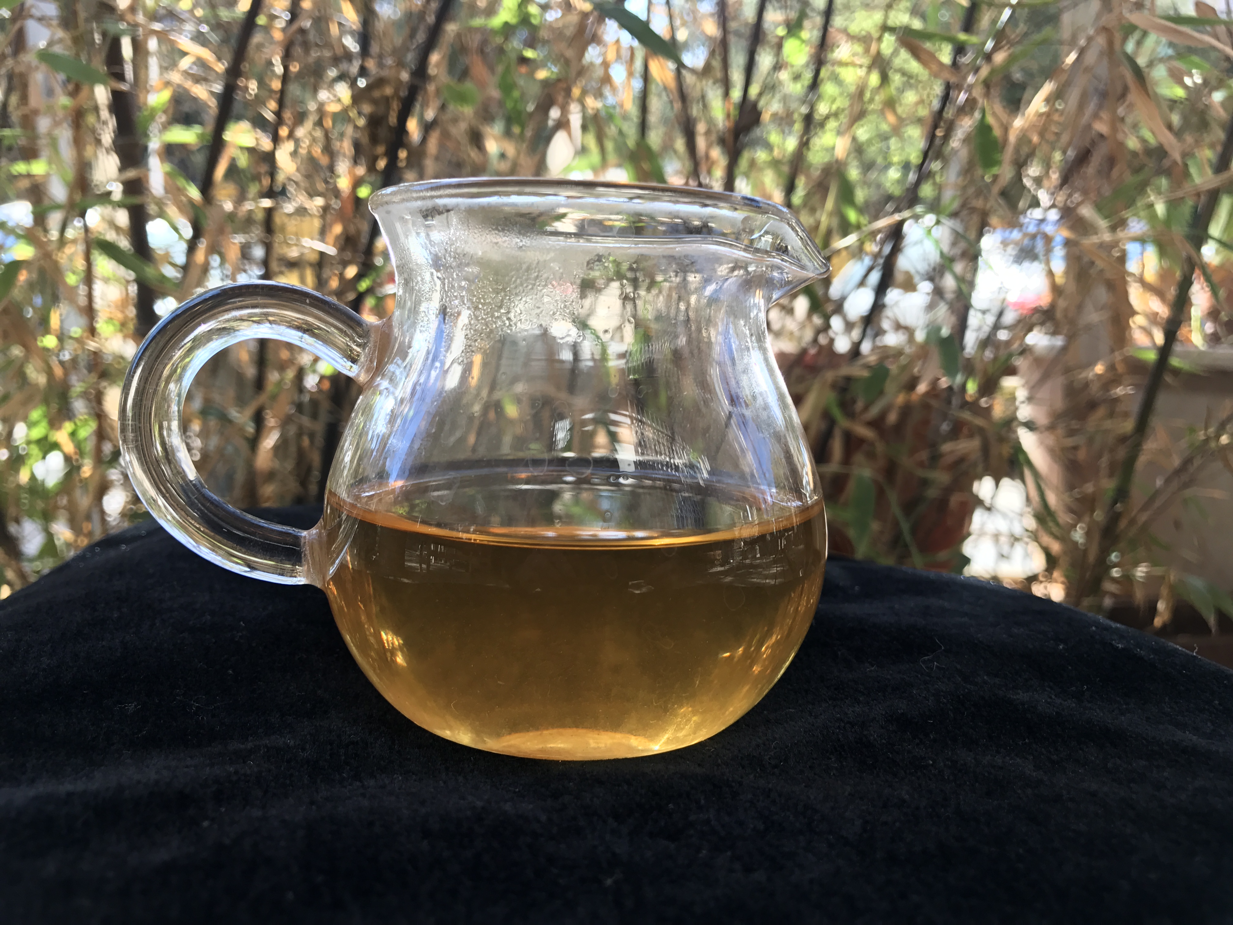 03年凤牌甲级沱茶,老徐鉴茶第二十五期