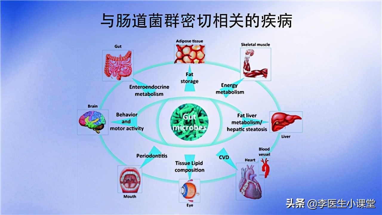 空腹血糖从13降到10以下,空腹血糖从8-9降到6-7