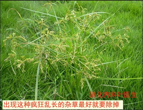 广泛肠上皮化生与肠上皮化生区别,肠上皮化生一定会癌变吗