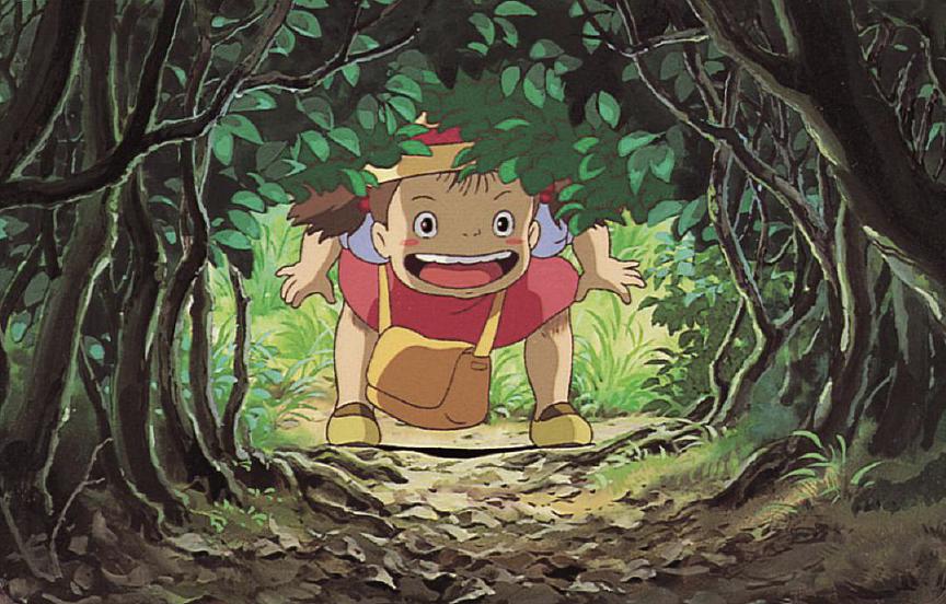 龙猫绘本新版本 (龙猫绘本最新消息)