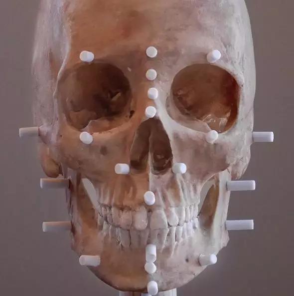 法医根据头骨还原死者,颅骨还原画像原理