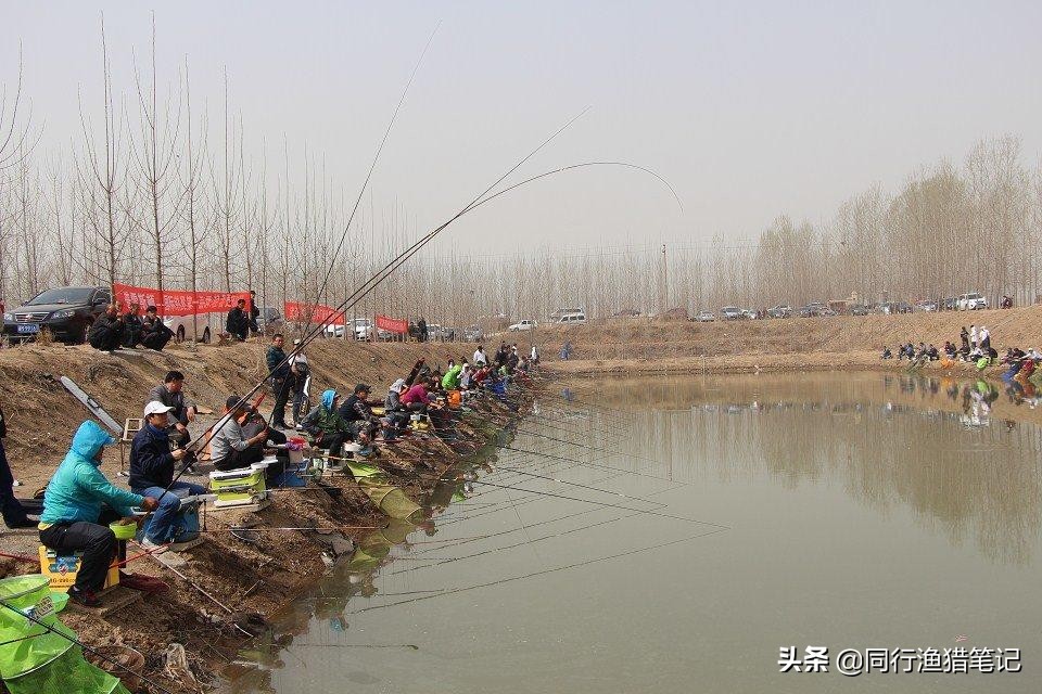 四种预防方法,四种扑救措施——轻松应对鱼竿拔节问题