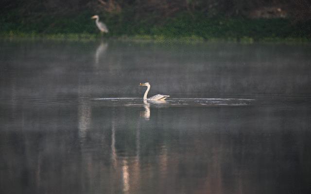 尼康z9旗舰相机详细评测,尼康z9机身的无损变焦功能