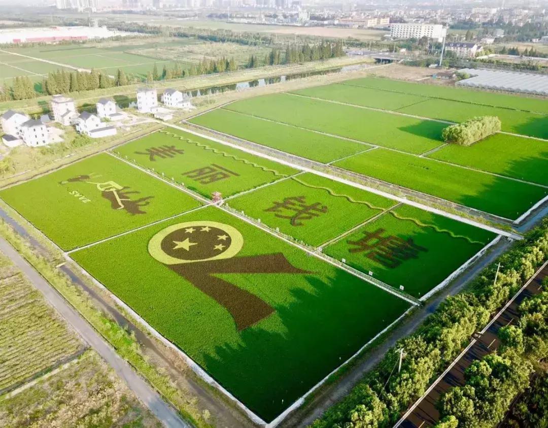 钱塘江出现巨幅画作,钱塘江大潮图片绘画