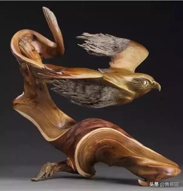 “高贵而奇异”，100多年方能成材的金*欢合**木是怎样一种存在？