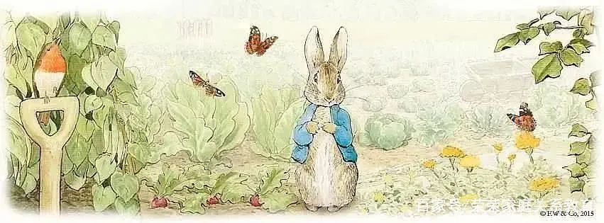 118岁英国“彼得兔”，兔妈妈一生无子，用密码日记写一世孤独