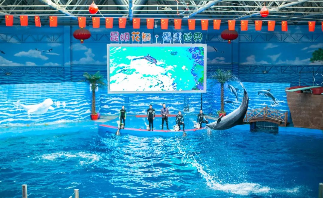 海花岛海洋乐园萌宠表演场,海花岛海洋乐园萌宠剧场