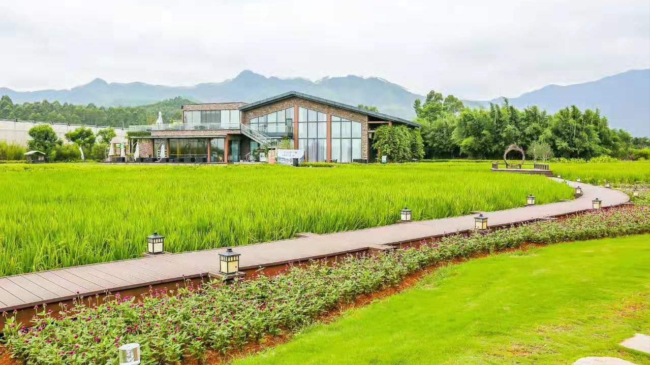 河源最好的温泉度假村,河源温泉度假村的泉眼