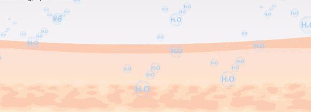 takami美容液效果怎么样,takami黑头水