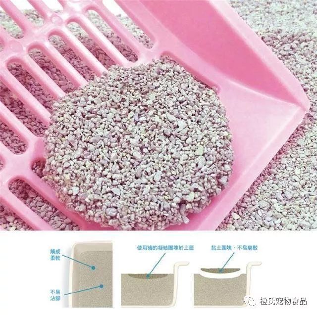 猫砂到底买哪种比较好 (选择哪款猫砂)