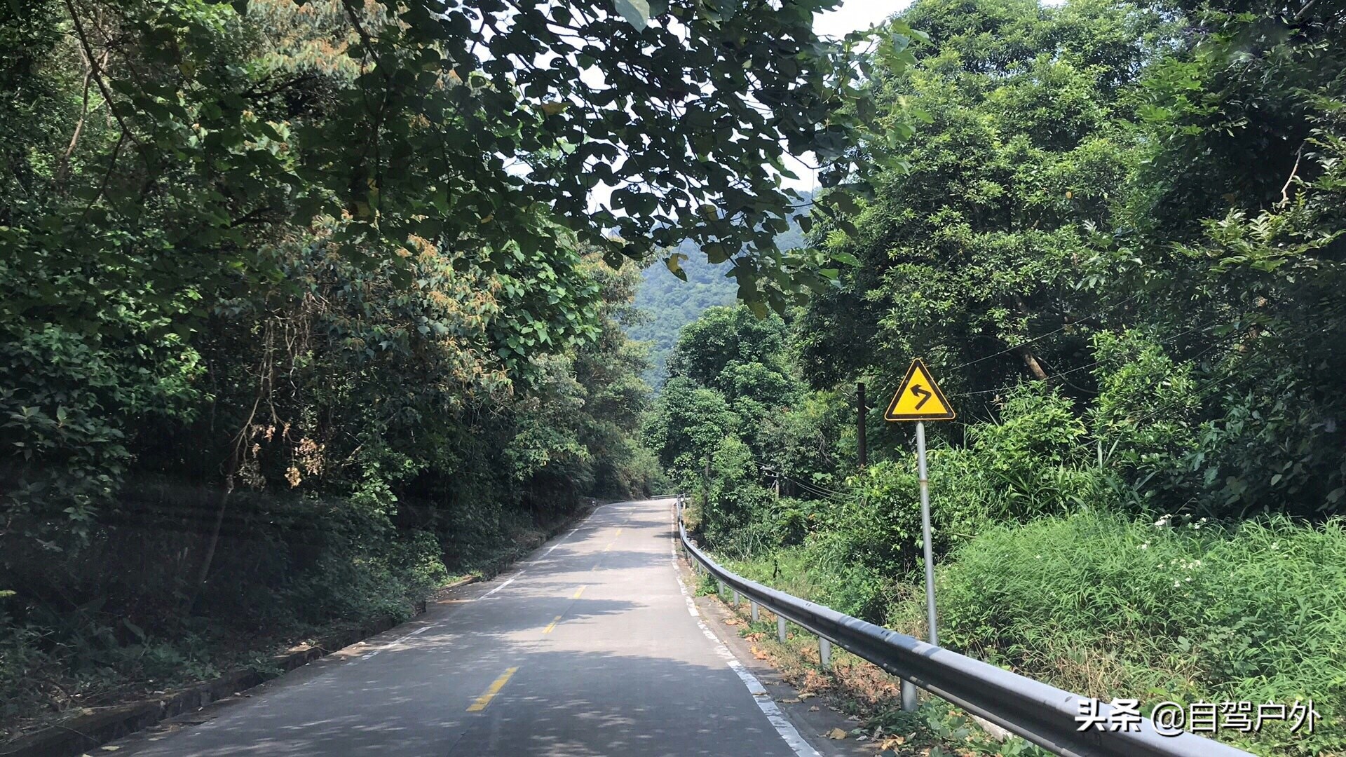 惠州明月山庄露营,罗浮山休闲竹林露营地