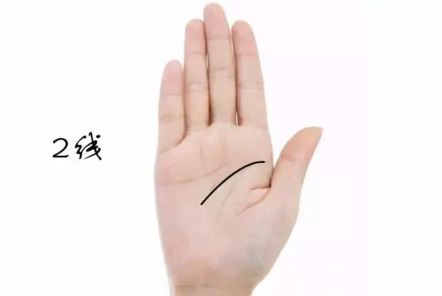 看看你的手相容易被忽略的大掌纹,看看你的手相有没有十字纹