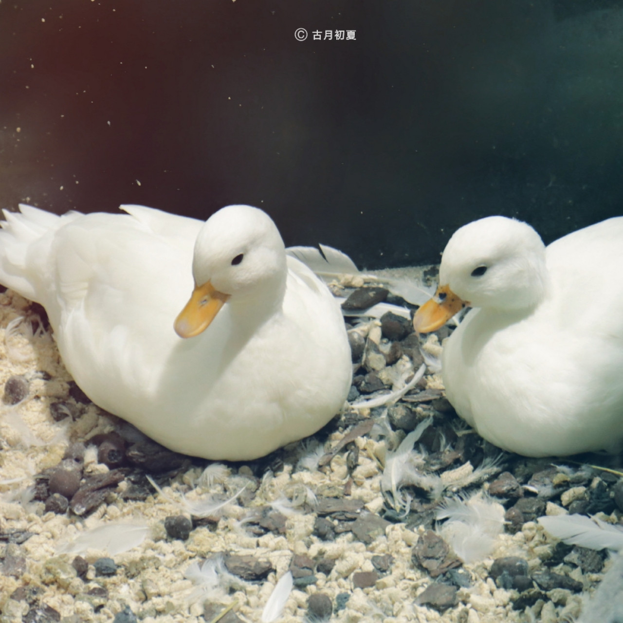 厦门科技馆游玩攻略2-3岁儿童,厦门科技馆每一个馆只能玩一次吗