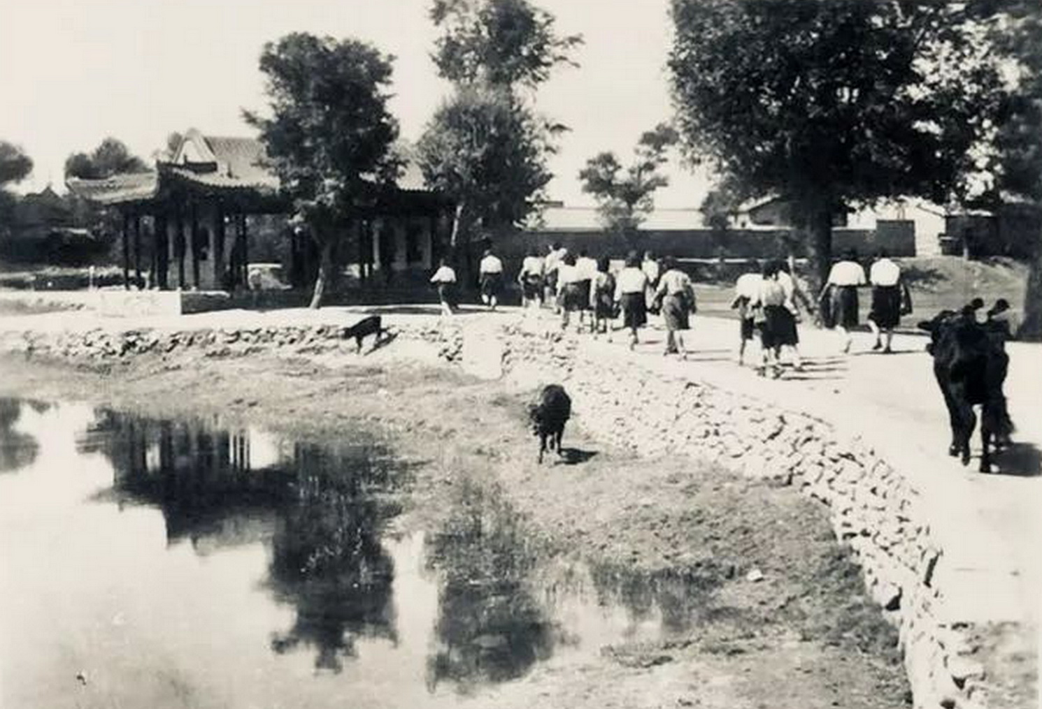 940医院兰州总院小西湖,小西湖中央医院及兰州军区总医院