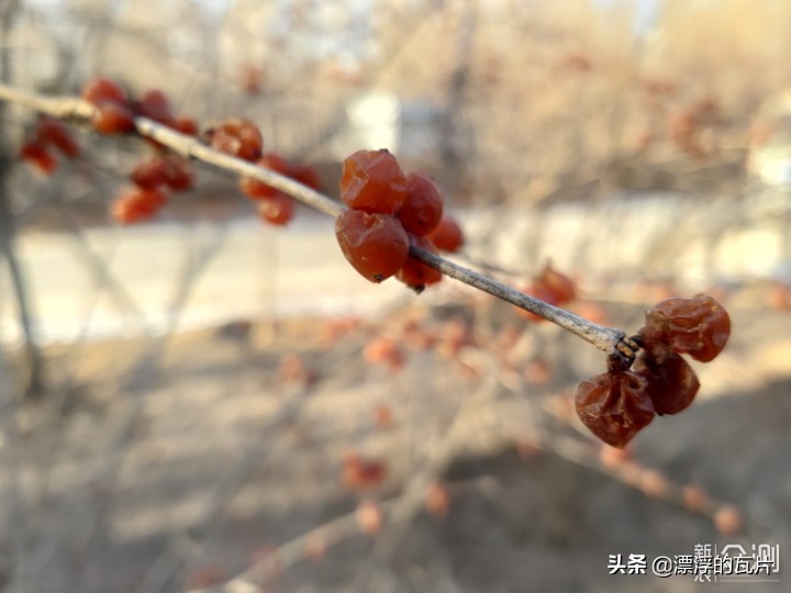 三星galaxya8s参数配置详情,三星a8s有哪些优缺点