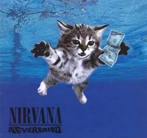 10000左右推荐一款电吉他,1000元电吉他和10000电吉他