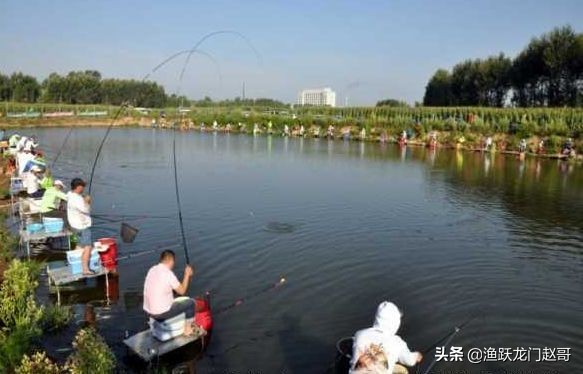 鱼上浮怎么开饵,鱼上浮怎么锚上来