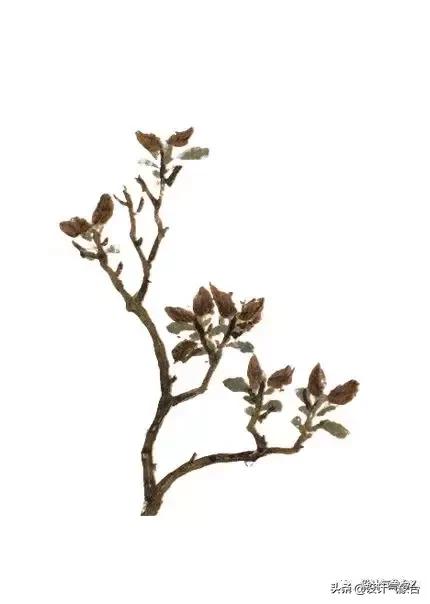 你嫉妒那个用古风出图的同事?我也嫉妒