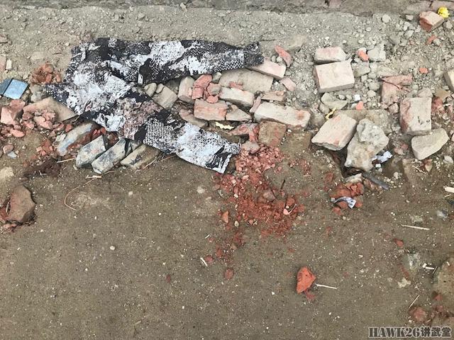 用照片说话：德国幻影公司“黄蜂II”Z4迷彩实际伪装效果如何？