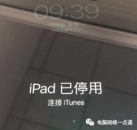 ipad显示已停用如何恢复,ipad已停用怎么恢复