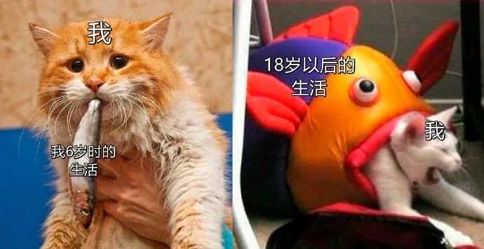 现在人的饭量比以前大,当代人的饭量