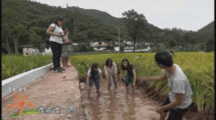 易门滇中水城湖边美景,滇中水城易门的夏日印记