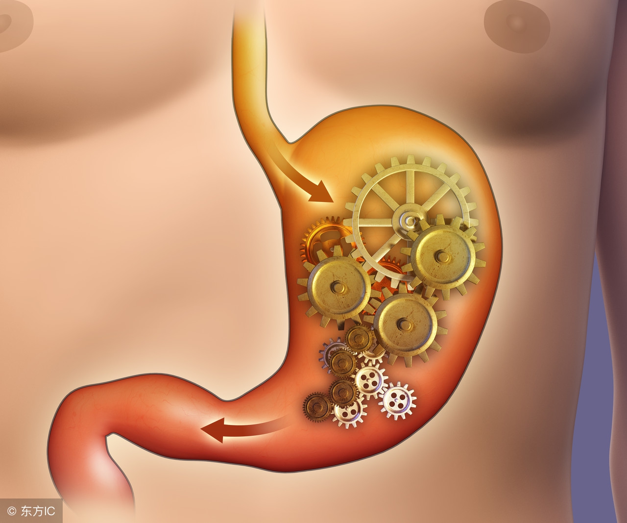 胸闷是心脏科最常见的症状，带你看看胸闷都是什么病？怎么检查？