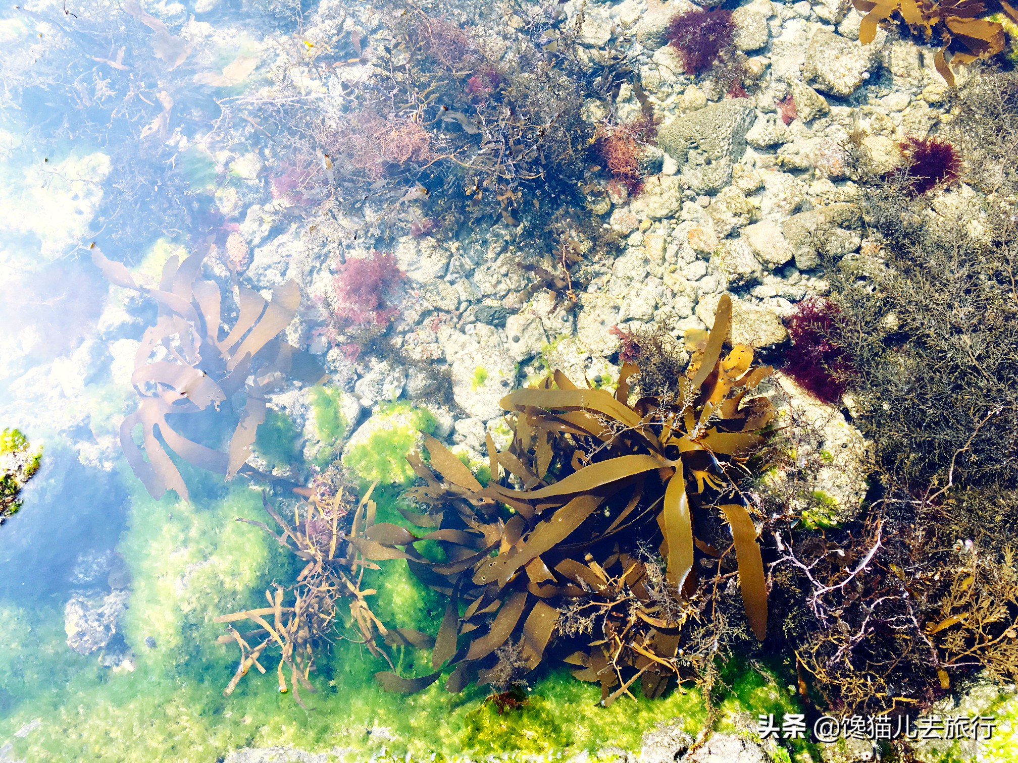 韩国济州岛汗蒸馆,韩国汗蒸馆中文解密