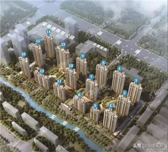 淄博张店区中小学划片,2022张店中小学划片查询