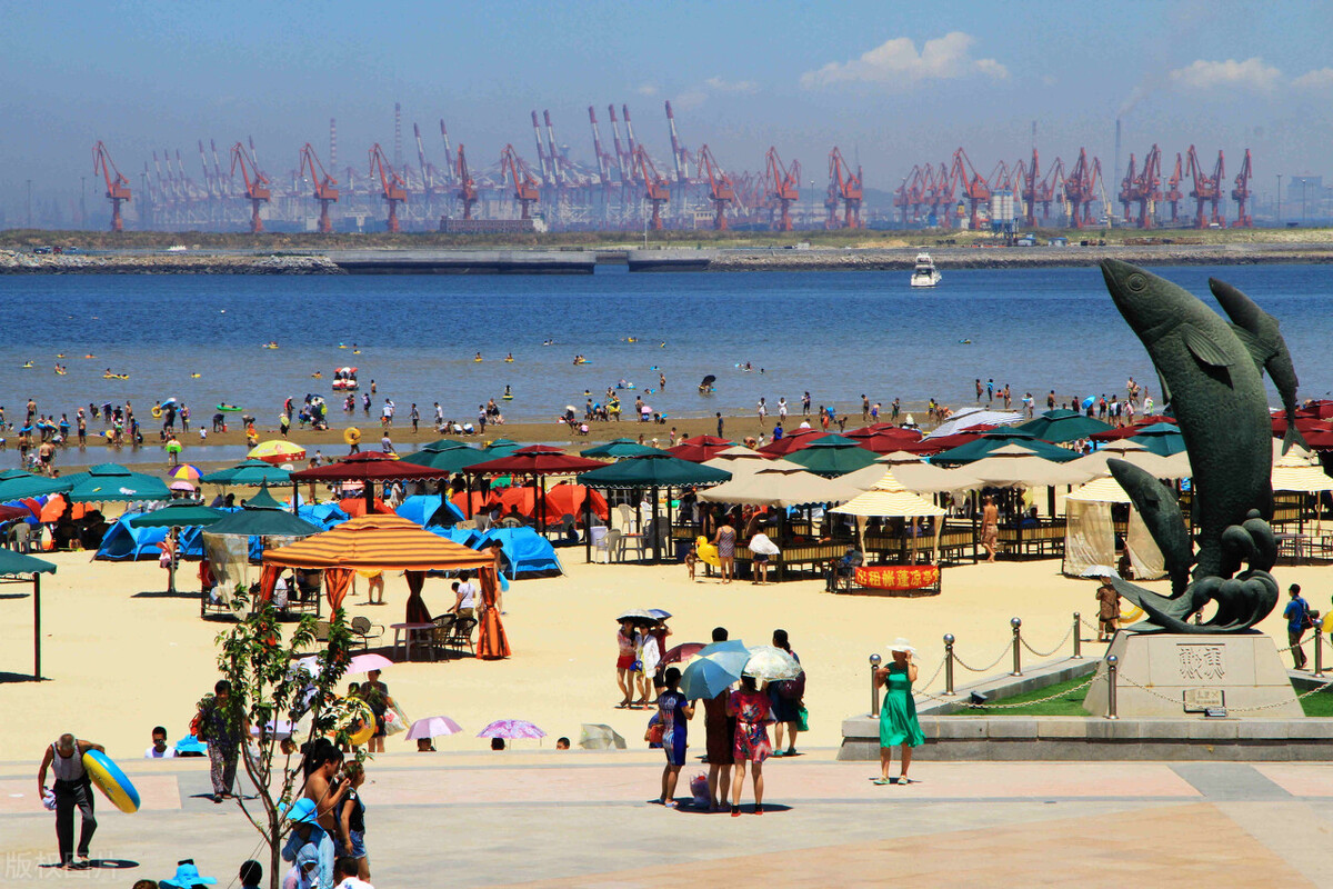 辽宁最新疫情鲅鱼圈,鲅鱼圈疫情原因是什么造成的