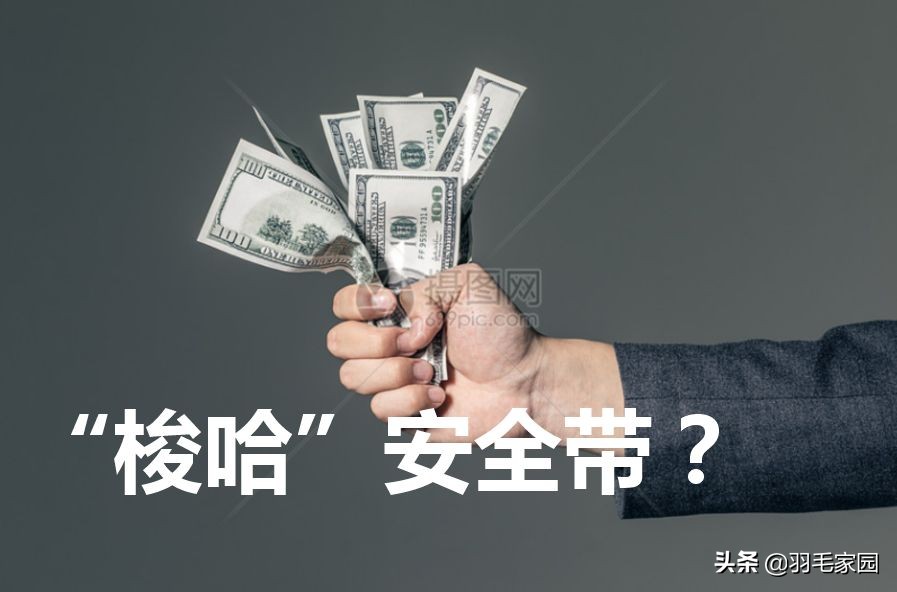 足球竞彩：看中比赛，*哈梭**！？羽毛家园提醒：请先系好安全带