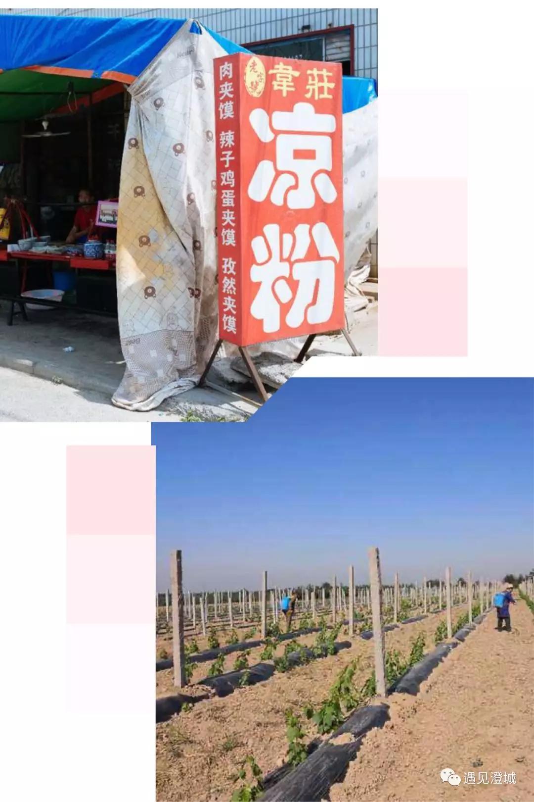 韦庄镇韦庄村||好运古建澄城村落记忆（38）