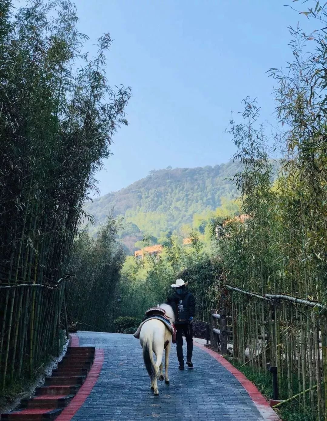 巴厘岛安曼戴宁酒店,巴厘岛安缦达瑞酒店