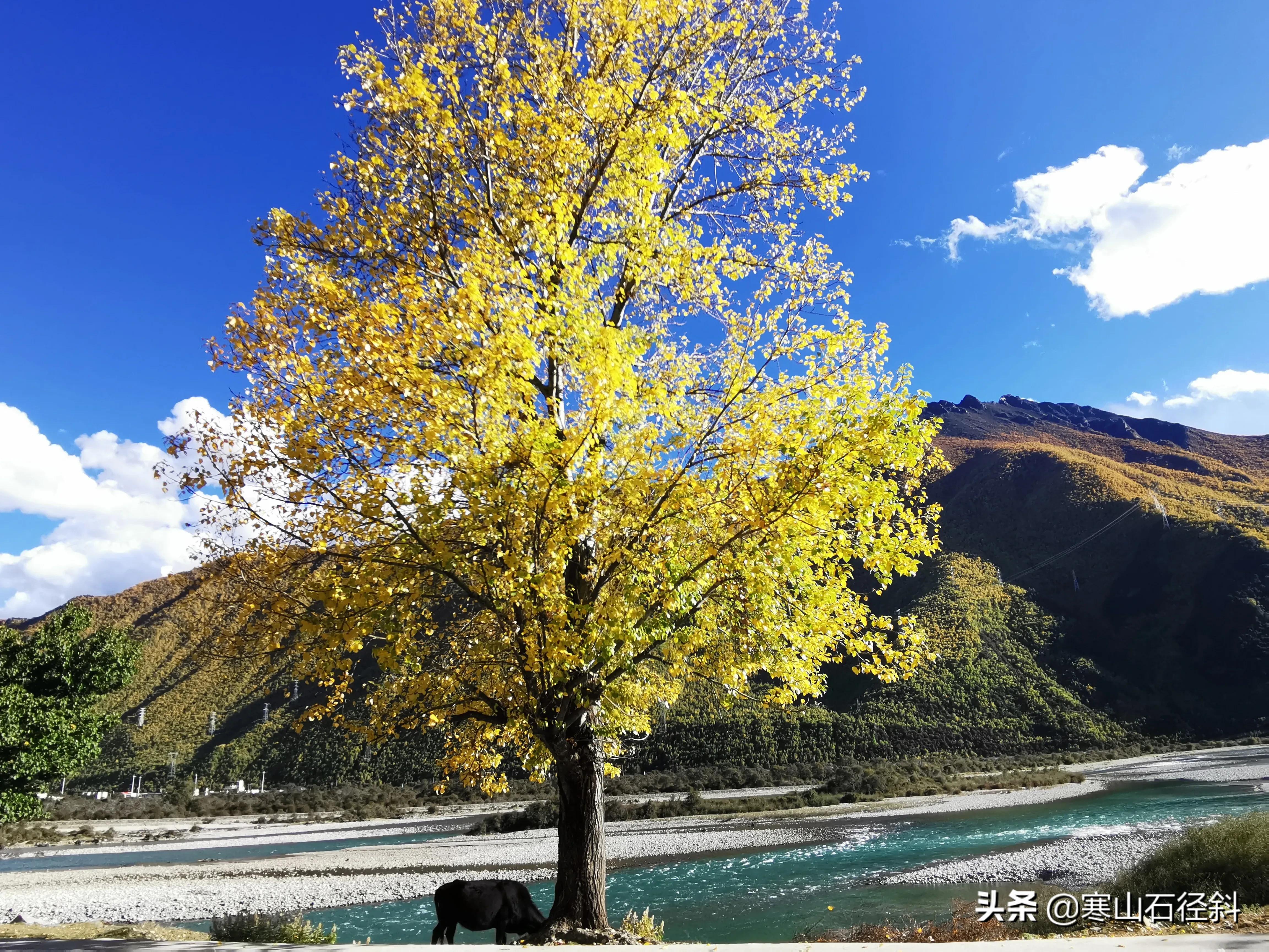 我的川藏线穷游经历,我的川藏318徒步视频