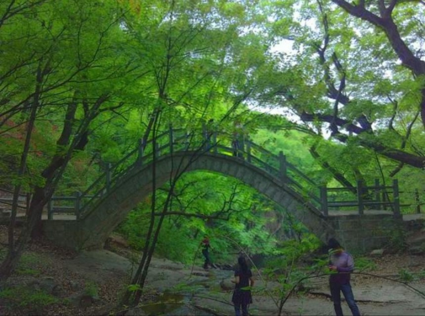 南召宝天曼地质公园,宝天曼内乡地质公园