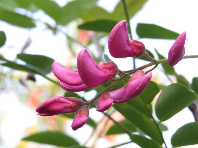 腰痛腰困用什么效果好,腰累腰酸怎么调理