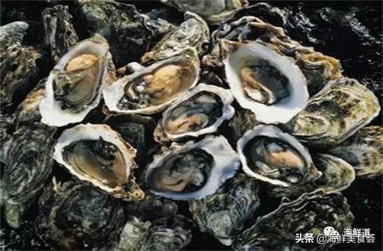 102种海鲜,营养丰富的海鲜有哪些品种