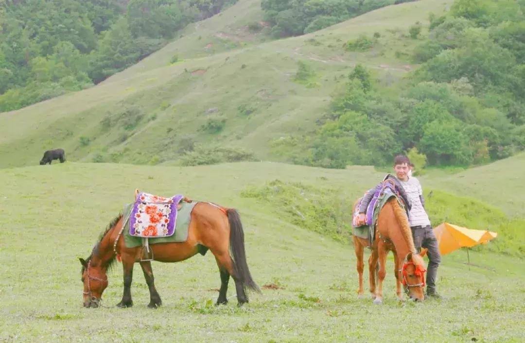 打卡网红地秋千,网红秋千户外营地打卡姿势