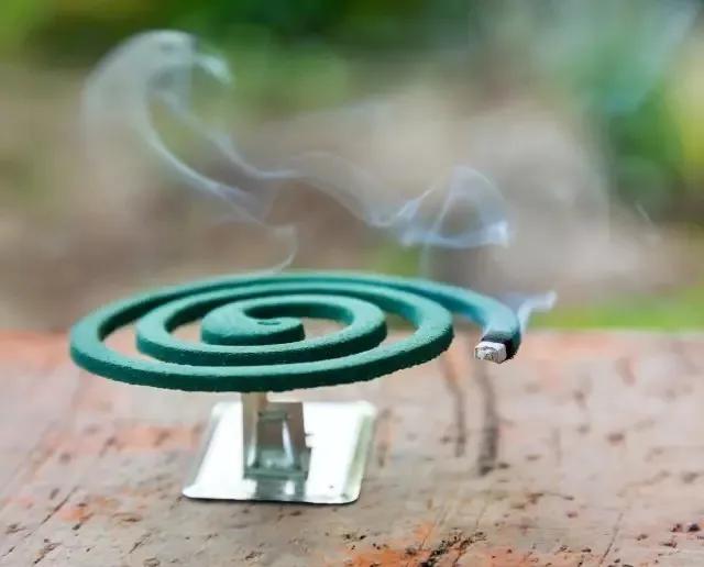 盘点十件好物推荐,百元好物必买清单