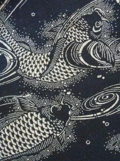 转运锦鲤简笔画,简笔画100种锦鲤图片